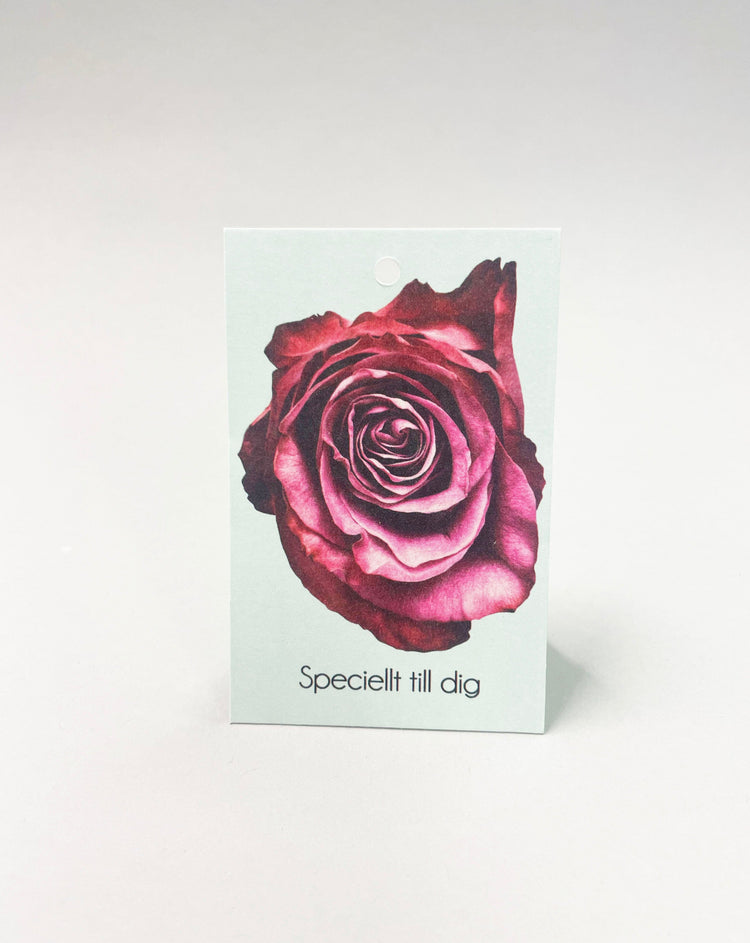 Tags 5,5x8,5cm