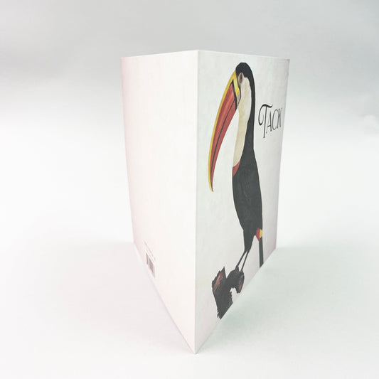 Kiitoskortteja - 10 kpl kirjekuoret mukaan lukien