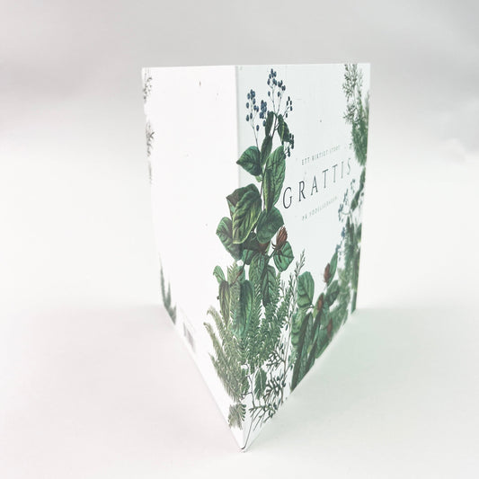 Syntymäpäiväkortteja - 10 kpl kirjekuoret mukaan lukien