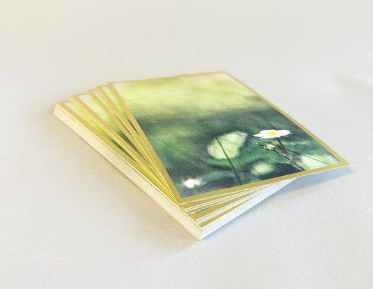 Hautauskortti - 9,8 x 14,5 cm