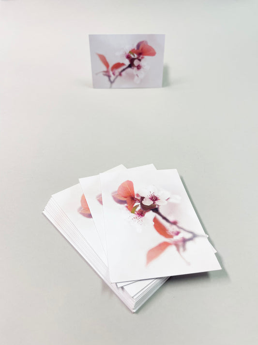 Tag yksinkertainen - 30 kpl