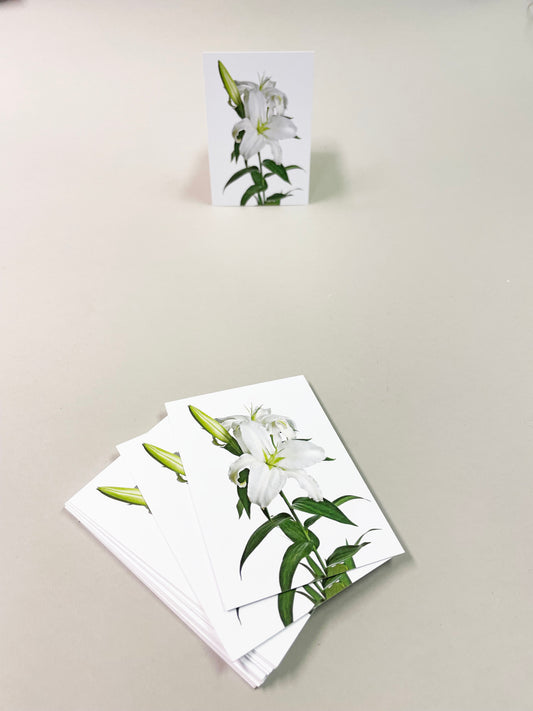 Tag yksinkertainen - 30 kpl