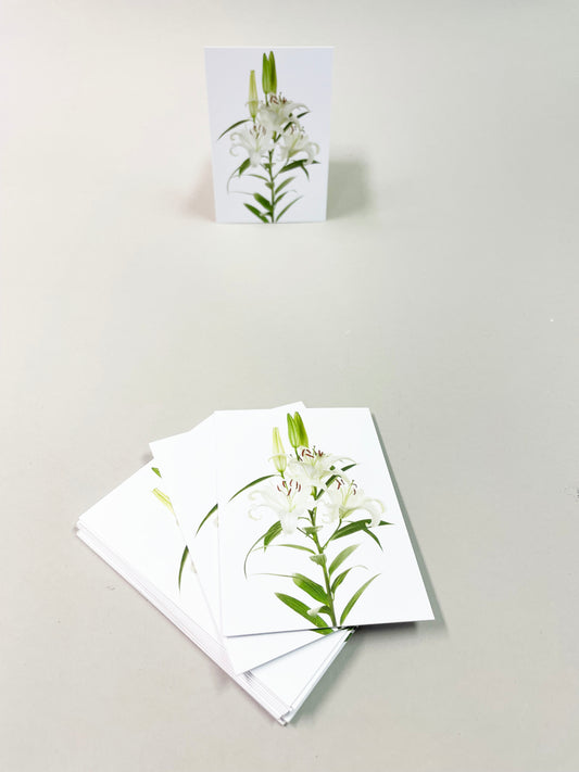 Tag yksinkertainen - 30 kpl