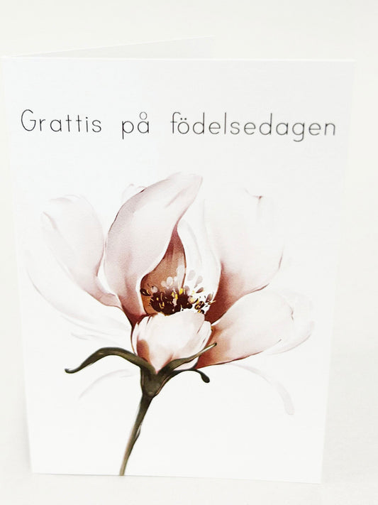 Pienet kortit - 25 kpl