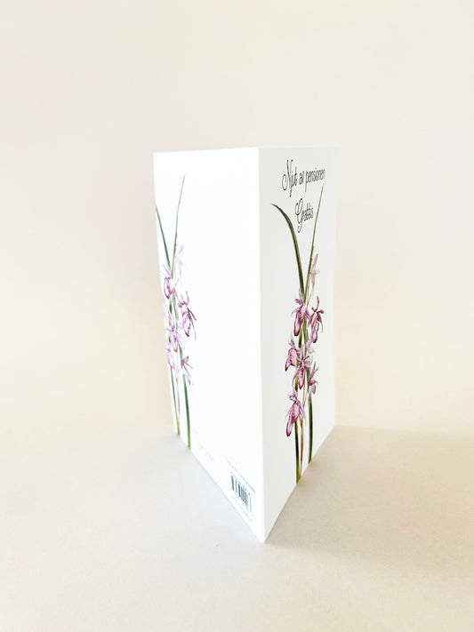 Pensionkort- 10st inkl.kuvert