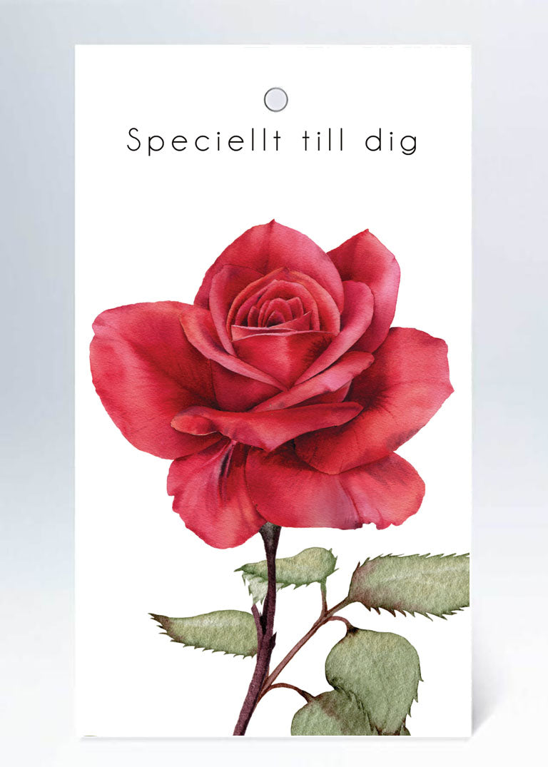 Tags Speciellt till dig röd ros i akvarell