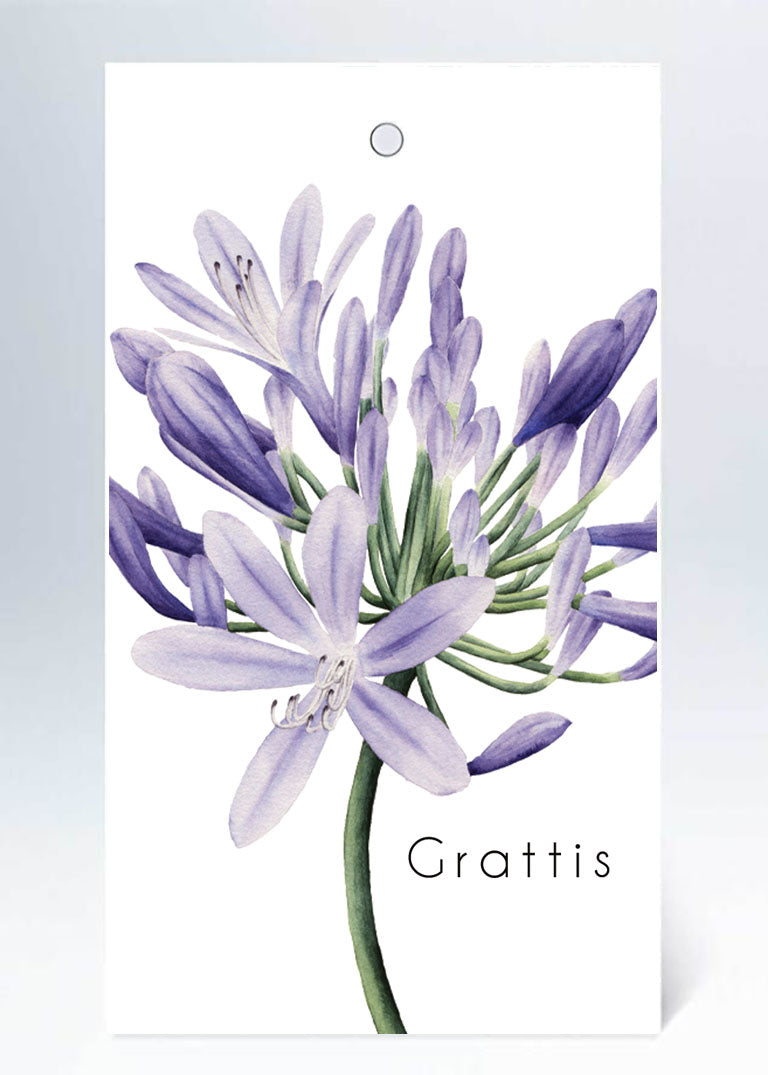 Tags lila Grattis blomma i akvarell