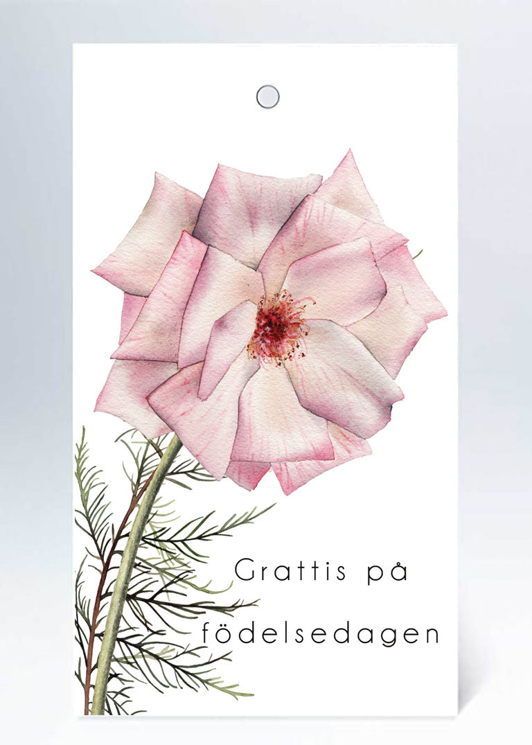 Tags Grattis på födelsedagen rosa blomma med kvist