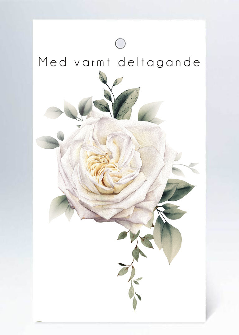 Tags Med varmt deltagande vit ros i akvarell