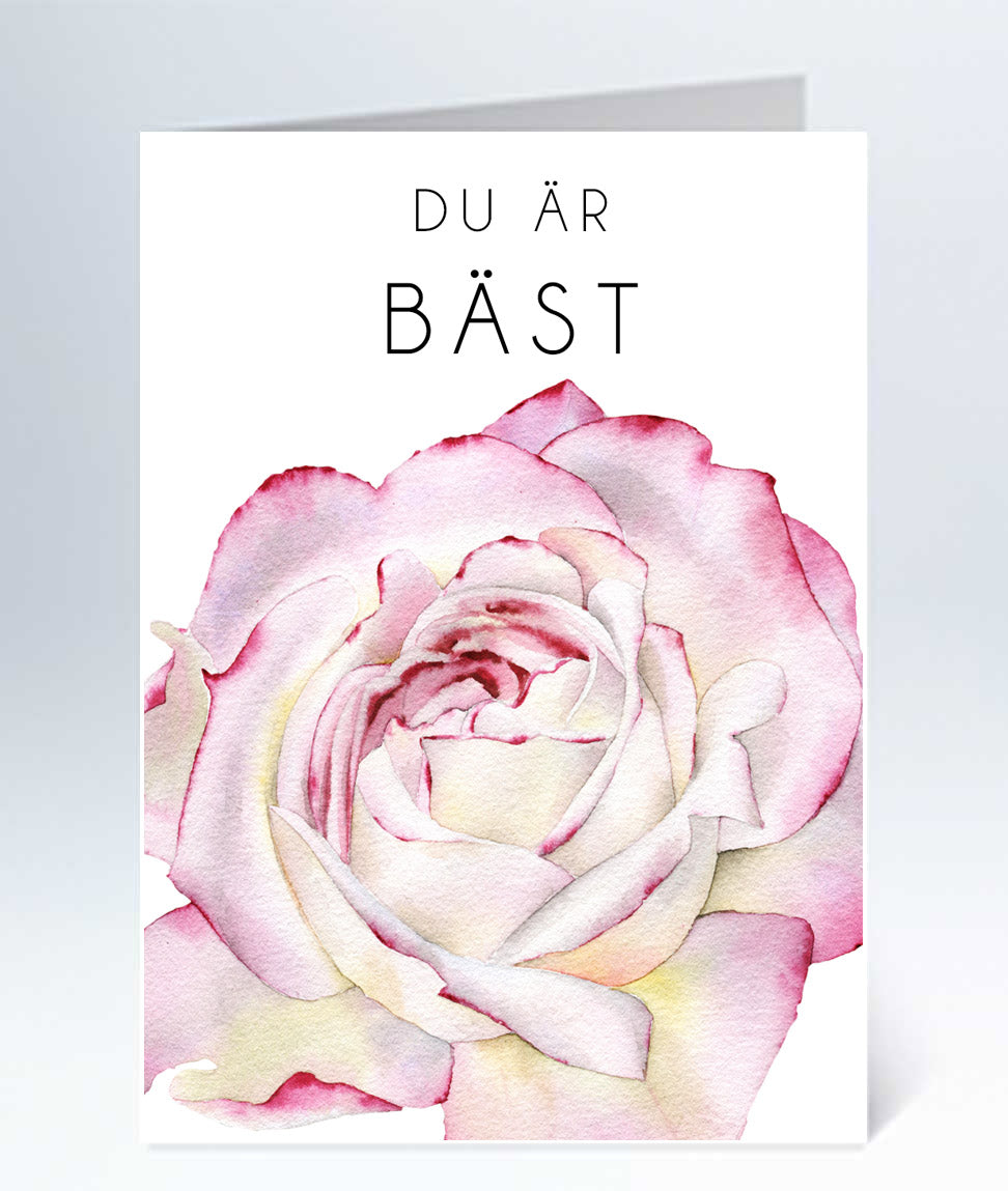 Du är bäst ros