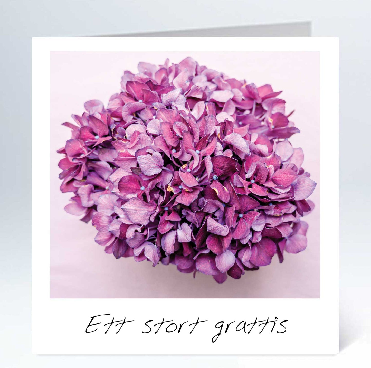 Iso kortti - 10 kpl kirjekuori 12,5 x 12,5 cm