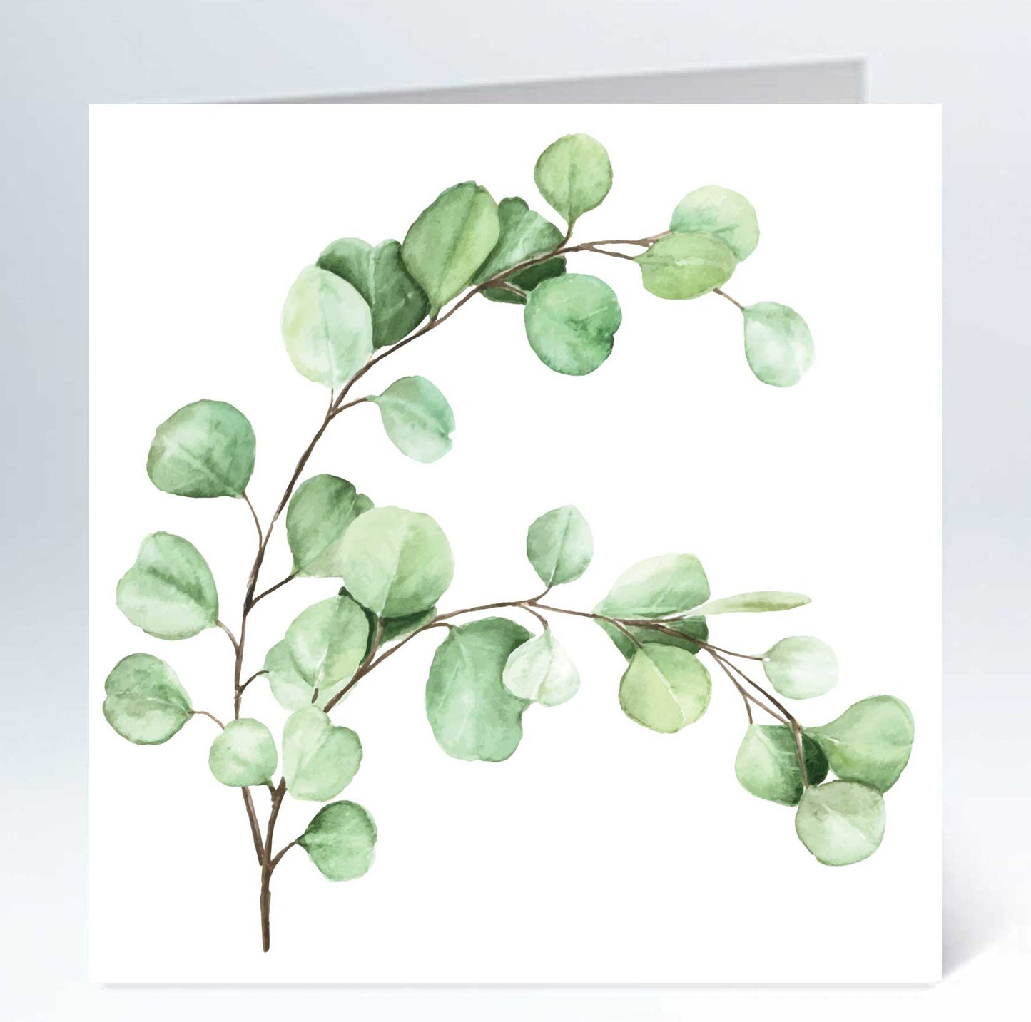 Iso kortti - 10 kpl kirjekuoren kanssa 12,5 x 12,5 cm