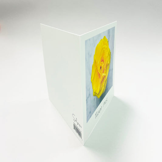 Suuri kortti - 10 kpl kirjekuoren kanssa