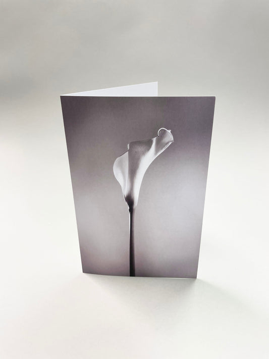 Stort kort - 10st inklusive kuvert