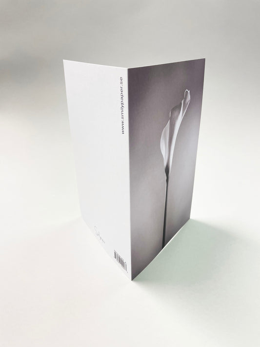 Stort kort - 10st inklusive kuvert