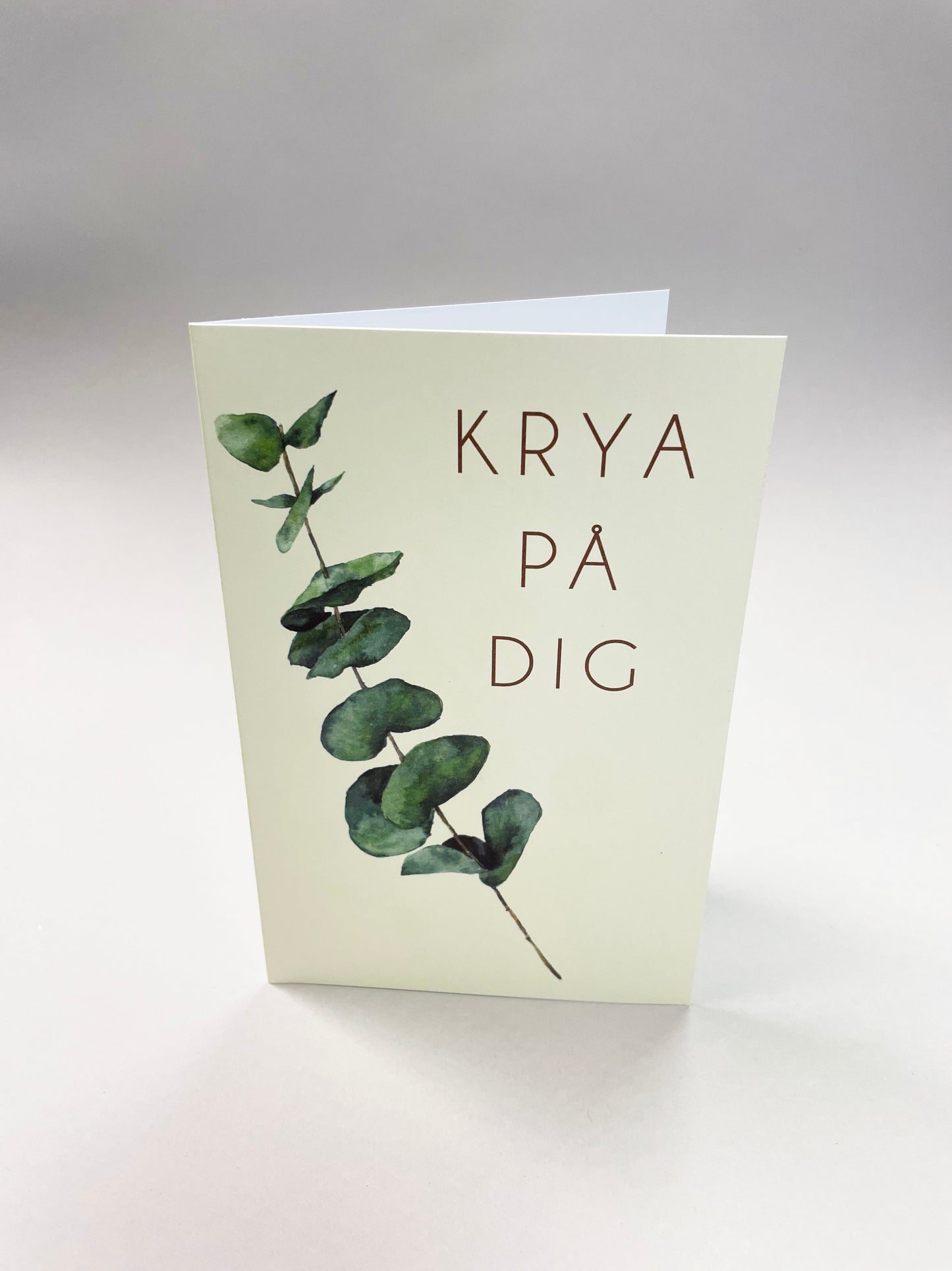 Stort kort - 10st inklusive kuvert