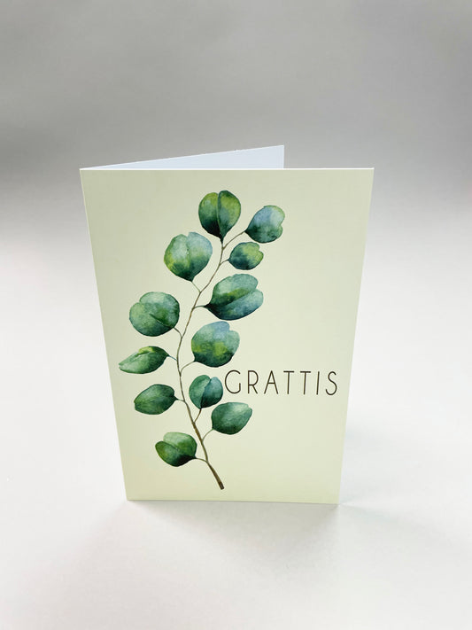 Suuri kortti - 10 kpl kirjekuoren kanssa