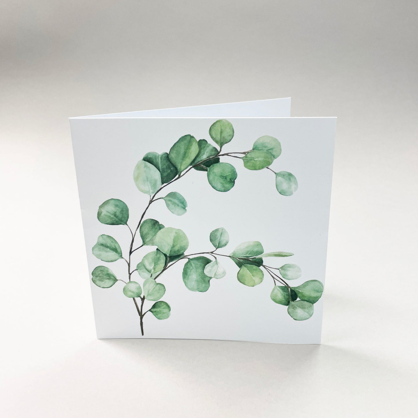 Iso kortti - 10 kpl kirjekuoren kanssa 12,5 x 12,5 cm
