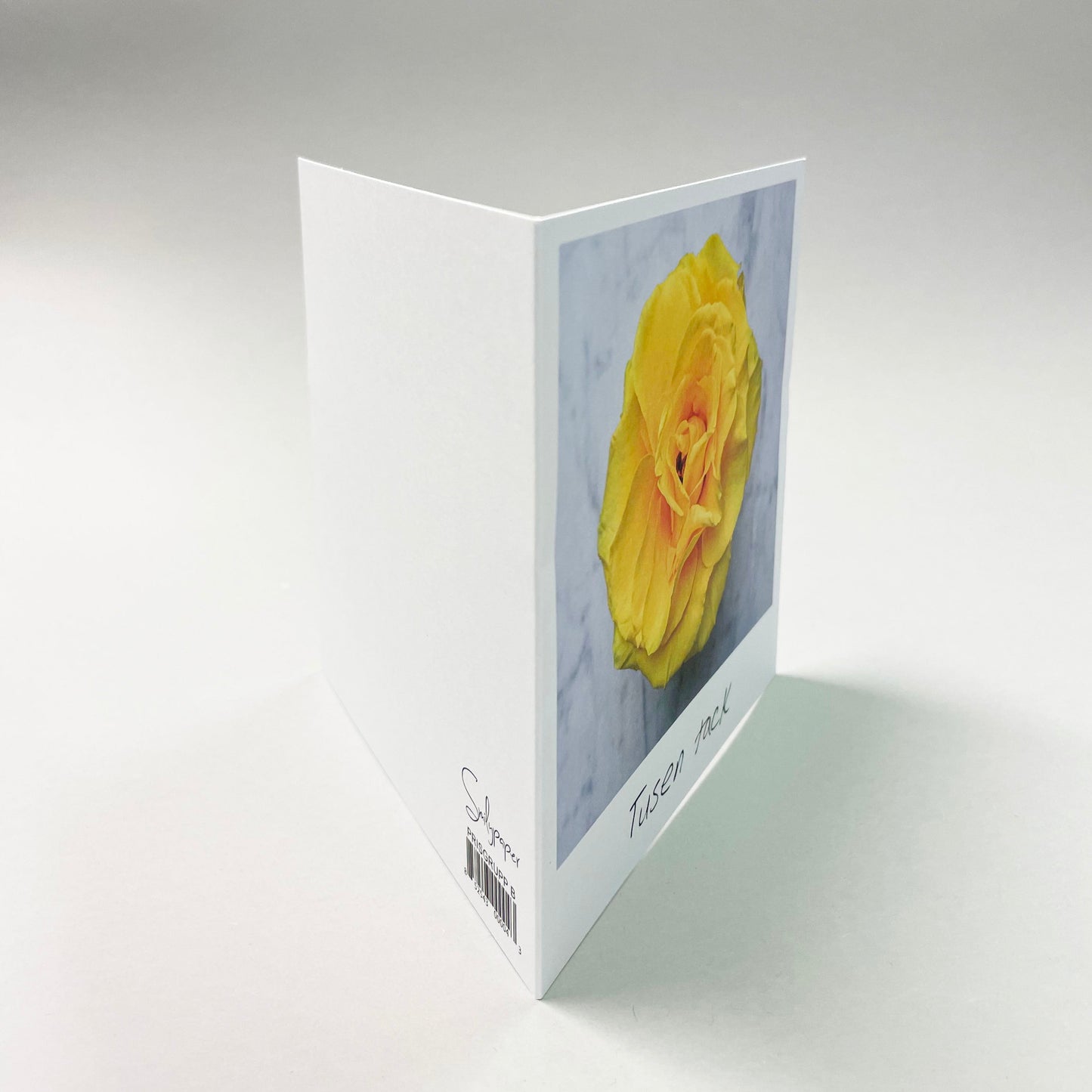 Iso kortti - 10 kpl kirjekuoren kanssa 12,5 x 12,5 cm