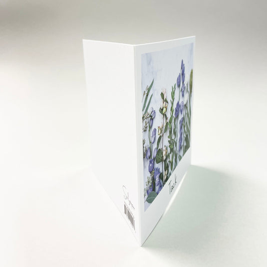 Iso kortti - 10 kpl kirjekuoren kanssa 12,5 x 12,5 cm