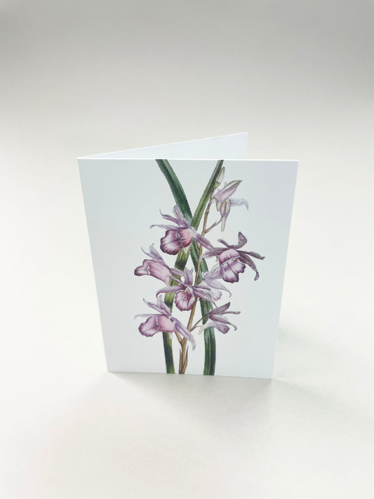 Pienet kortit - 25 kpl