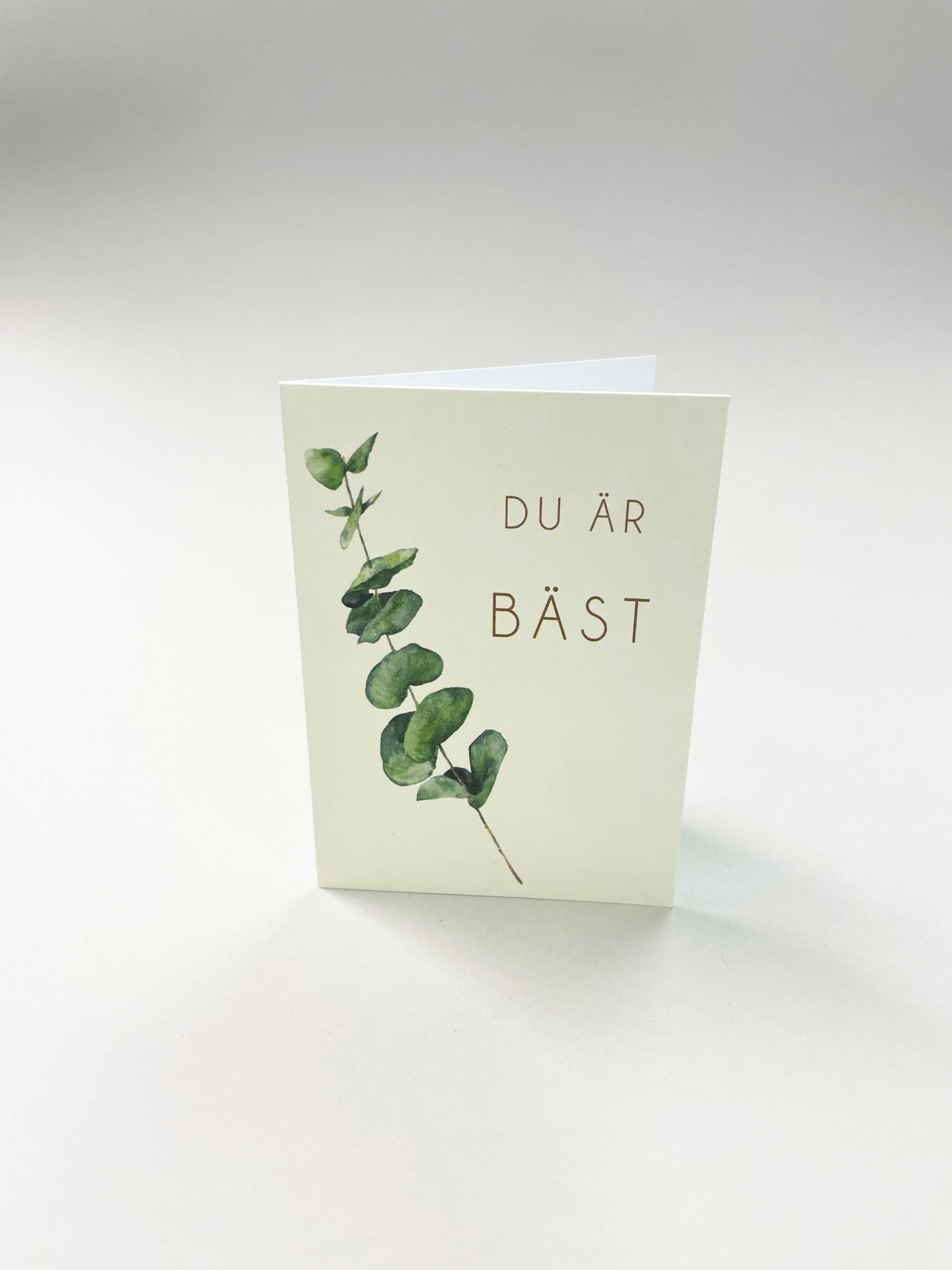 Små kort - 25st