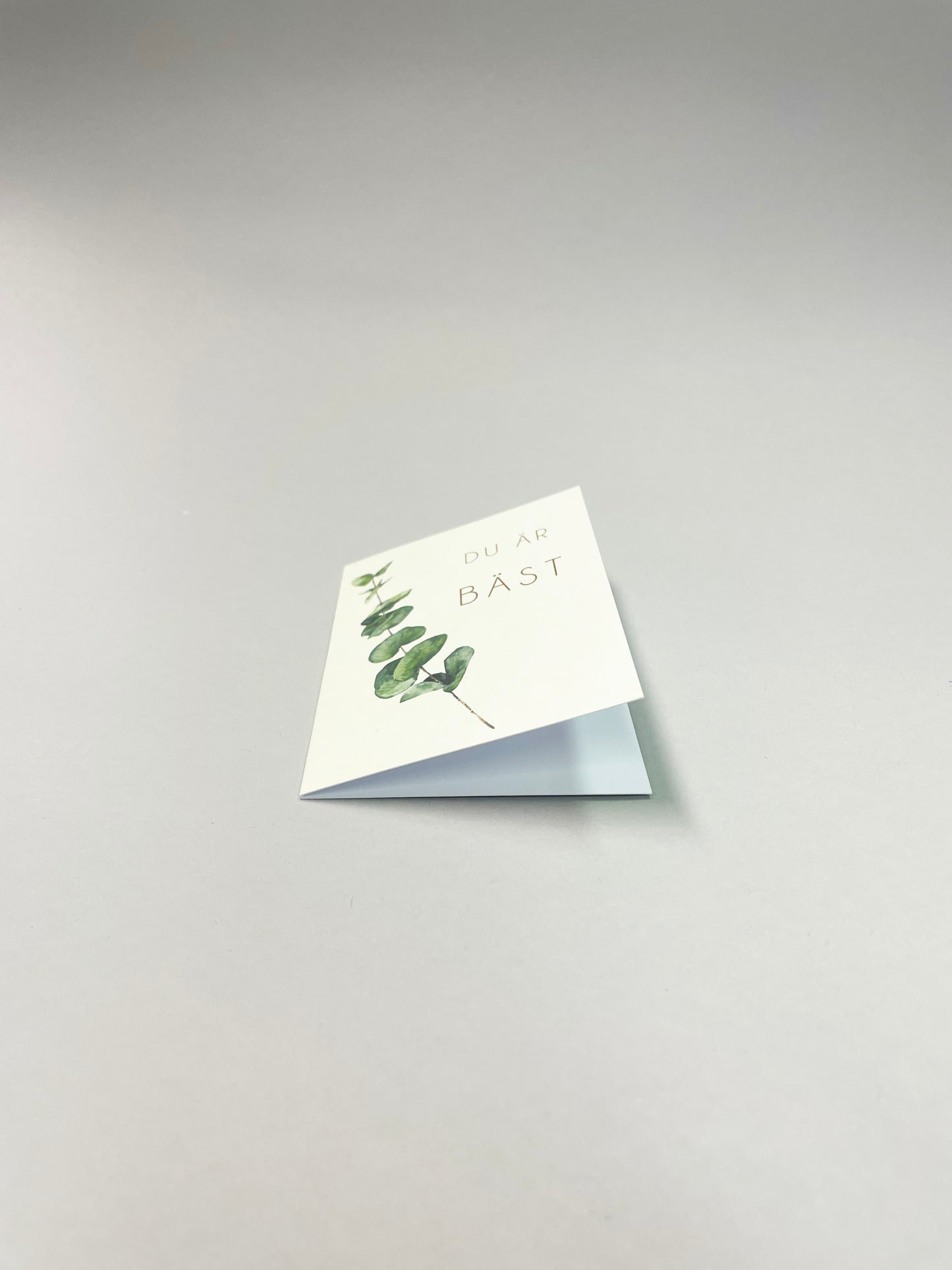 Små kort - 25st