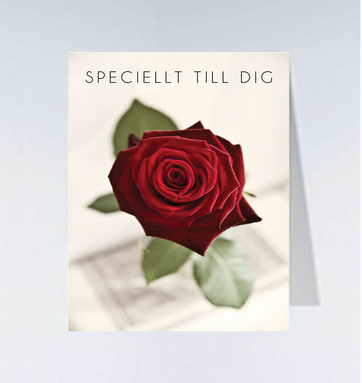 Små kort - 20st