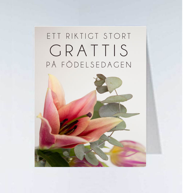 Små kort - 20st
