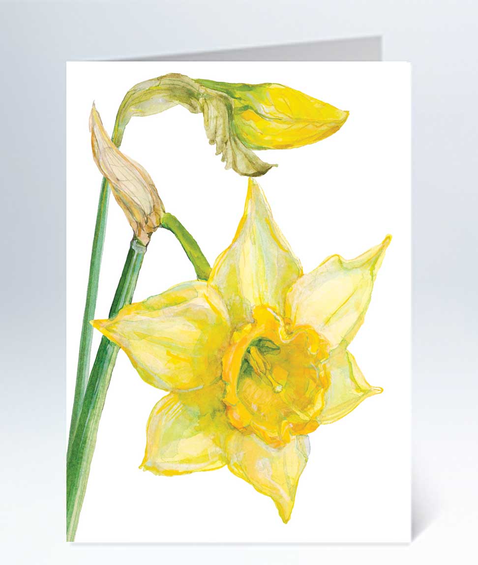 Små kort - 25st Påsk