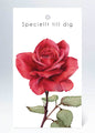 Tags Speciellt till dig röd ros i akvarell