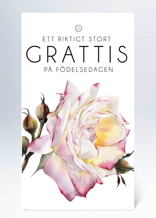 Tags rosa ros Ett riktigt stort Grattis