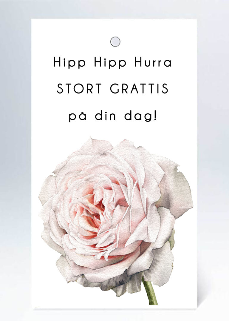 Tags hipp hipp hurra vit ros i akvarell