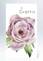 Tags rosa grattis blomma i akvarell