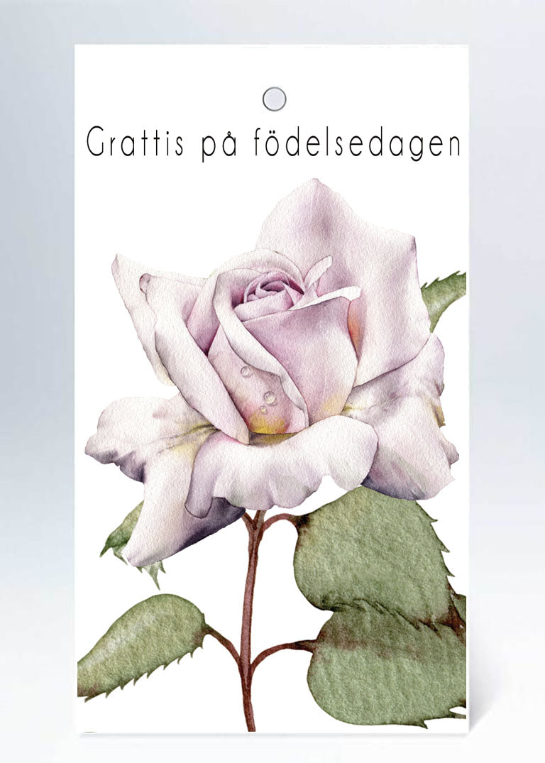 Tags rosa ros Grattis på födelsedagen