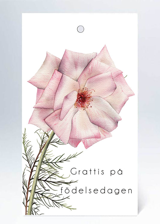 Tags Grattis på födelsedagen rosa blomma med kvist