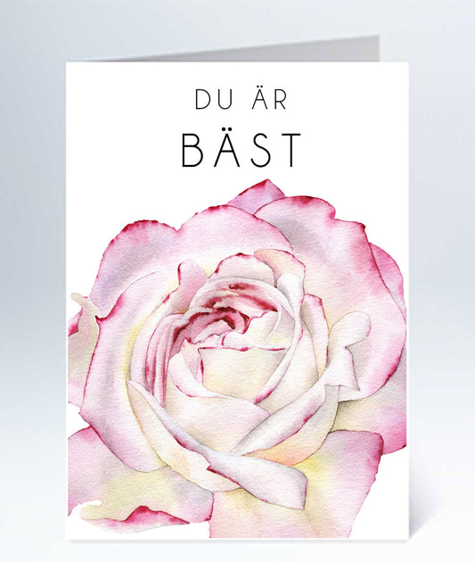 Du är bäst ros