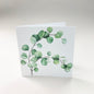 Iso kortti - 10 kpl kirjekuoren kanssa 12,5 x 12,5 cm