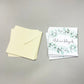 Iso kortti - 10 kpl kirjekuoren kanssa 12,5 x 12,5 cm
