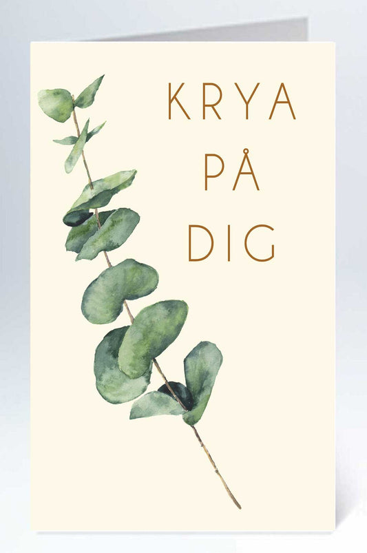 Suuri kortti - 10 kpl kirjekuoren kanssa