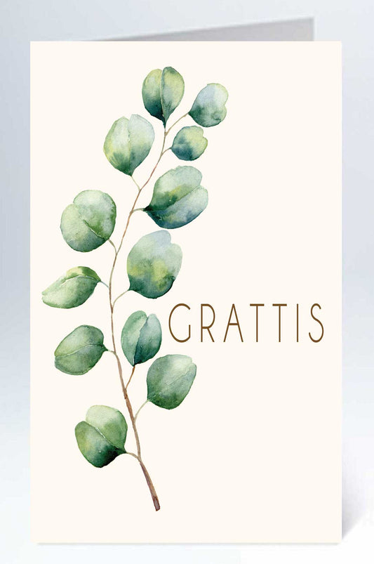 Suuri kortti - 10 kpl kirjekuoren kanssa