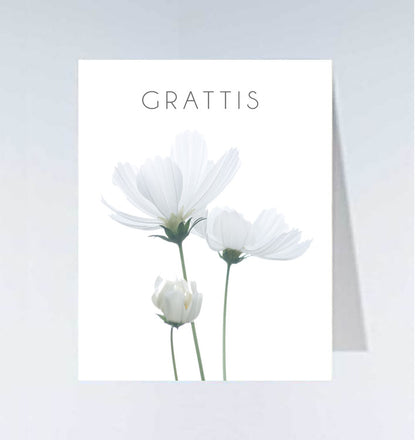 Små kort - 20st
