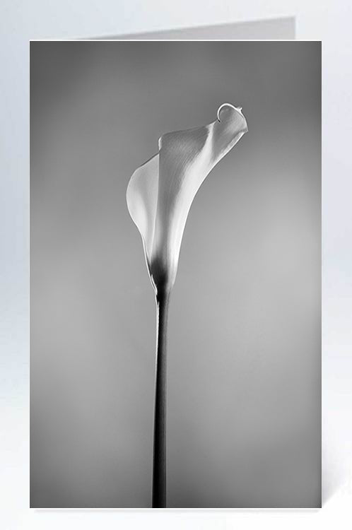 Suuri kortti - 10 kpl kirjekuoren kanssa