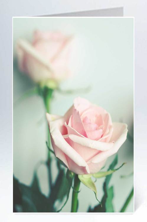 Suuri kortti - 10 kpl kirjekuoren kanssa